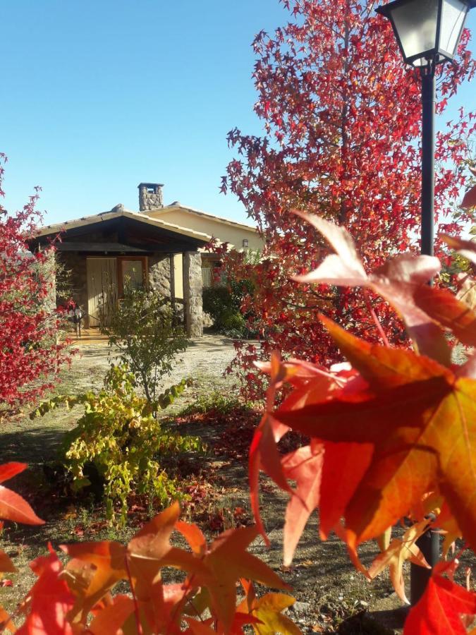 Casa Rural Amarilla Авила Экстерьер фото